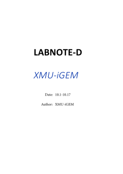 LABNOTE-D XMU‐iGEM