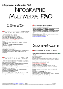 Infographie, multimédia, PAO