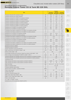 Remeha Calora Tower Oil & Tank BS 220 SHL