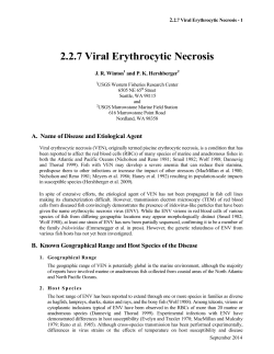 2.2.7 Viral Erythrocytic Necrosis
