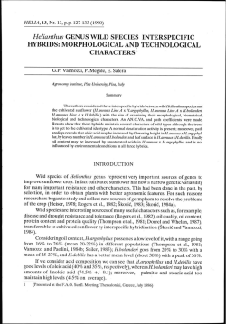 Helianthus GENUS WILD SPECIES INTERSPECIFIC HYBRIDS