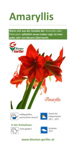 Download - Blumen Gartler