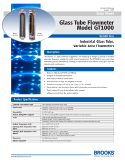 Data Sheet Glass Tube Flowmeter Model GT1000