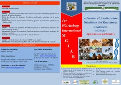 1er Workshop M G I A R - Université de Tlemcen