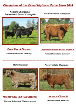 Champions of the Virtual Highland Cattle Show 2014