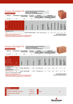 Technisches Datenblatt Planziegel-T16