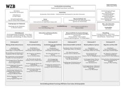 Organigramm des WZB (PDF)