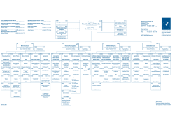 Detailed organisation chart