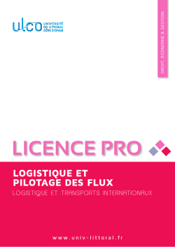 Licence pro Logistique et pilotage des flux