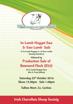 Download - the irish charollais sheep society website