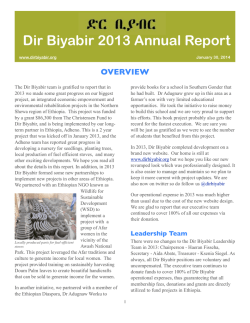 Dir Biyabir 2013 Annual Report