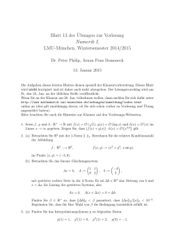 Blatt 13 der¨Ubungen zur Vorlesung Numerik I, LMU