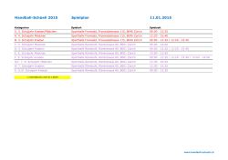 Handball-Sch&uuml;eli 2015 Spielplan 11.01.2015