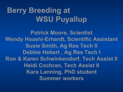 Berry Breeding at WSU Puyallup