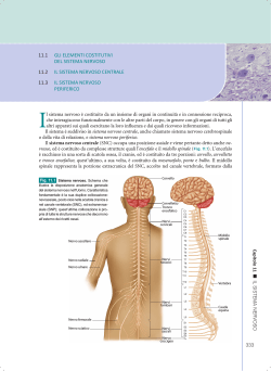 11.1 gli elementi costitutivi del sistema nervoso 11.2 il