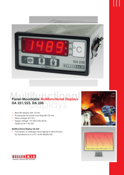 Digital display DA 230 - Keller MSR