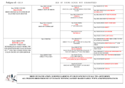 Pedigree of Youngster