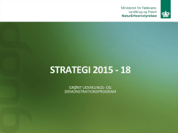 GUDP Strategi 2015-2018 og Handlingsplan 2015