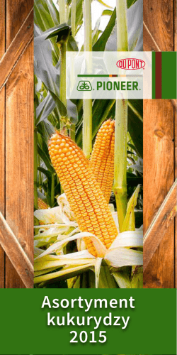Asortyment kukurydzy 2015 - Doradztwo w zakresie uprawy