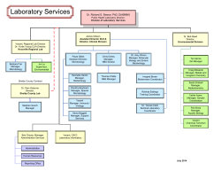 Visio-Lab Services Org Chart7-25