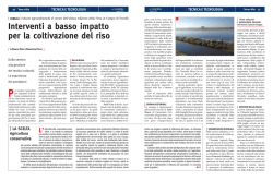 Interventi a basso impatto per la coltivazione del riso