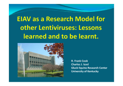 EIAV as a research model for other lentiviruses