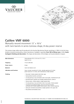 Calibre VMF 6000 - Vaucher Manufacture Fleurier