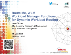 WLM Functions for Dynamic Workload Routing