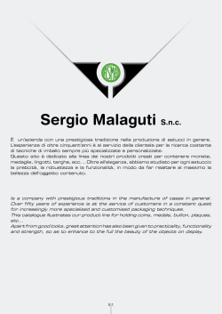 Sergio Malaguti S.n.c.