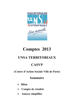2013-UNSA-Territoriaux