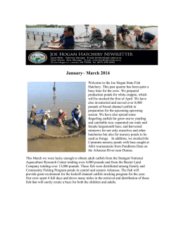 Jan-Mar 2014 | Joe Hogan Hatchery Quarterly Newsletter
