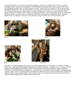 Meet their Orangutans - Orangutan Conservation Education Center