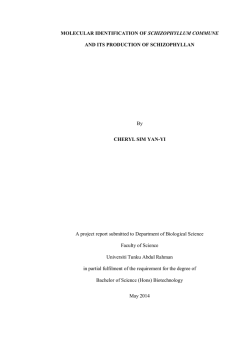 Download (2046Kb) - UTAR Institutional Repository
