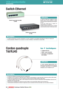Switch Ethernet Cordon quadruple Tél/RJ45