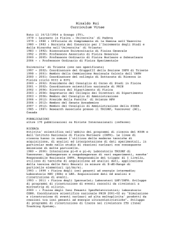 Rinaldo Rui Curriculum Vitae