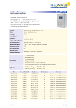 Notstrom-Versorgung Einzelbatterie-System - Pfrommer GmbH