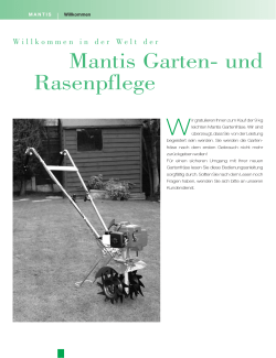 4084 Manual_D - Mantis
