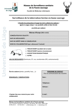 Fiche - Blaireau