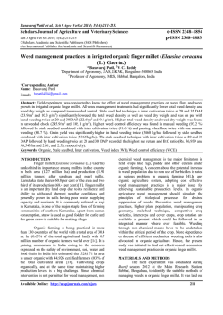 Download PDF