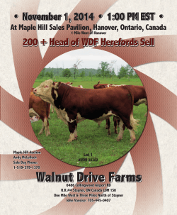 Walnut Drive Farms - Canadian Hereford Association