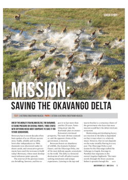 Saving the Okavango Delta - Stockholm International Water Institute