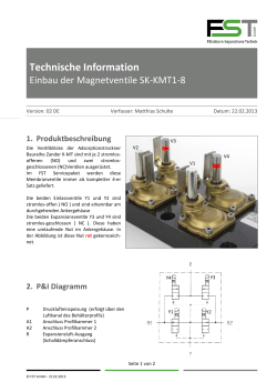 DMN FST Betriebsanleitung SK-KMT1-8 DE-20130222 - FST GmbH