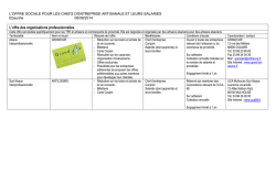 Ebauche 1 - Etude offre sociale artisanat - 09-2014