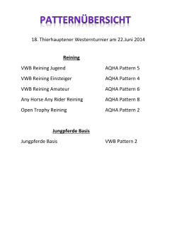 18. Thierhauptener Westernturnier am 22.Juni 2014 Reining VWB
