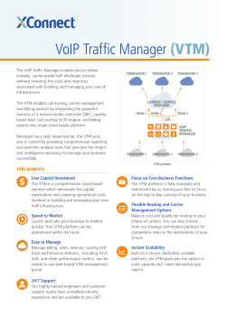VoIP Traffic Manager (VTM)