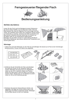 Ferngesteuerter fliegender Fisch.cdr - trendy planets