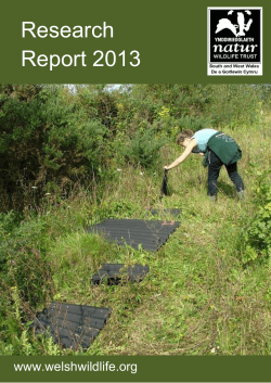 WTSWW research report 2013