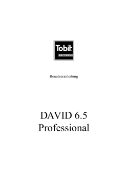 DAVID 6.5 Professional