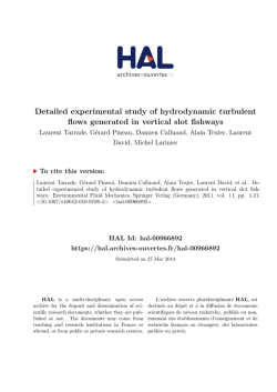 Detailed experimental study of hydrodynamic turbulent flows