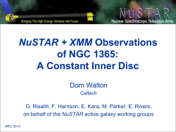 NuSTAR + XMM Observations of NGC 1365: A Constant Inner Disc